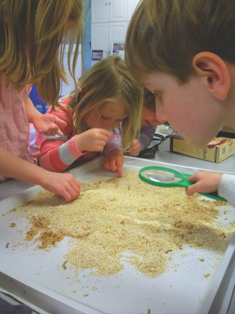 Connecting Kids with Nature