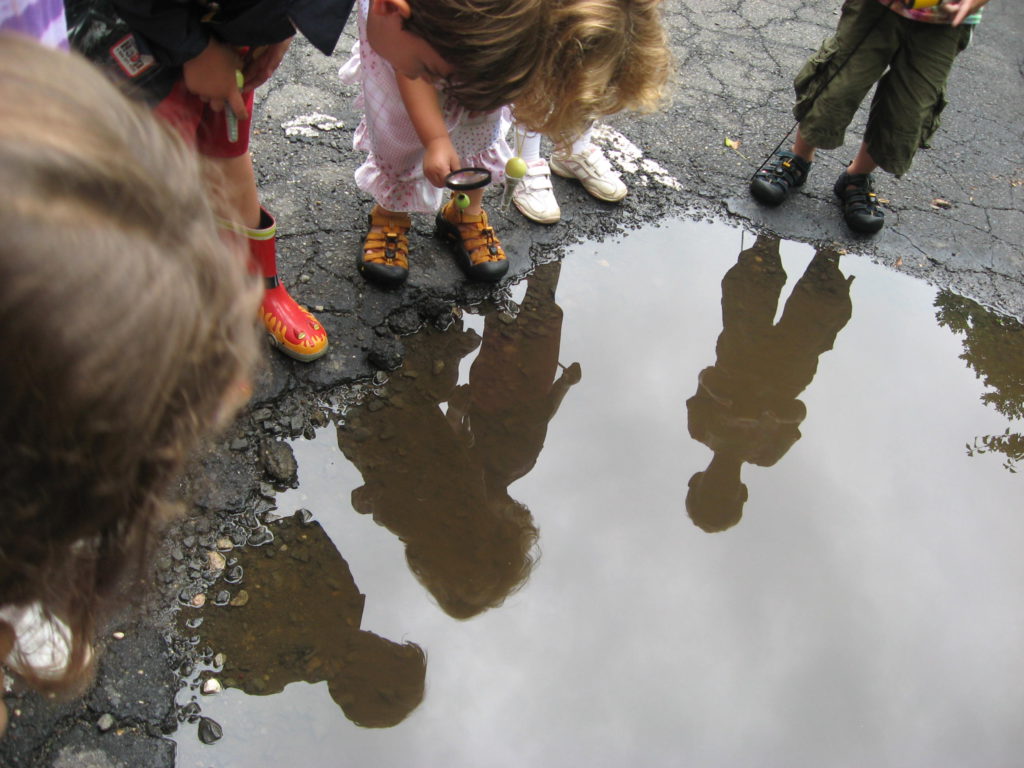 Looking in a rain puddle