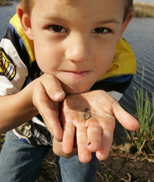 Boy Holding A Small Fish